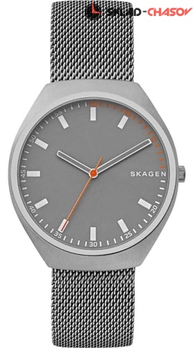 Мужские Skagen Mesh SKW6387 фото