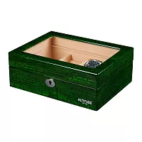 Шкатулка для 1-х часов и украшений Altitude 106GEC фото