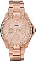 Fossil Multifunction AM4483 фото