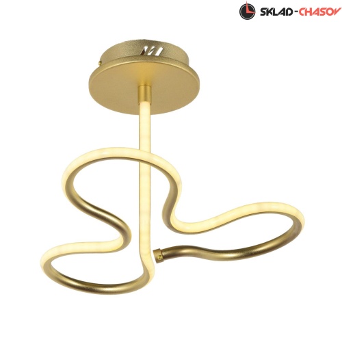 Потолочный светодиодный светильник Arti Lampadari Angelo L 1.2.35.03 G фото