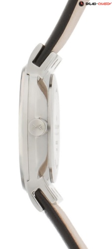 Женские Skagen Leather Classic 358XSSLBC фото фото 2