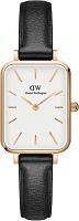 Daniel Wellington DW00100434 фото