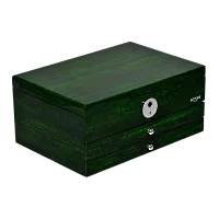 Шкатулка для хранения украшений и часов 501-2RGC-FP фото