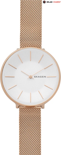Женские Skagen Mesh SKW2688 фото