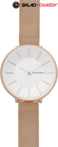 Женские Skagen Mesh SKW2688 фото