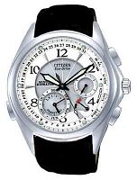 Citizen BL9009-03B фото