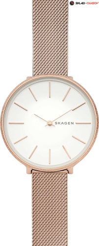 Женские Skagen Karolina SKW2726 фото