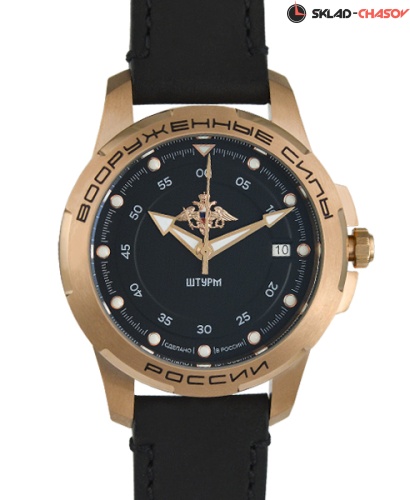 Штурм 1959001 фото