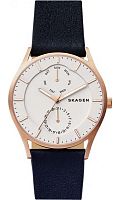 Мужские Skagen Leather SKW6372 фото