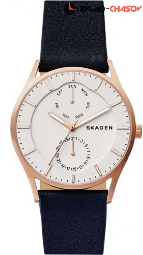 Мужские Skagen Leather SKW6372 фото