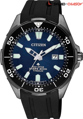 Мужские Citizen Promaster BN0205-10L фото