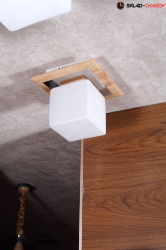 Lucia Tucci Natura 084.1 фото фото 3