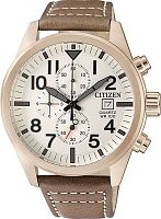 Мужские Citizen Basic AN3623-02A фото