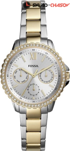 Fossil Izzy ES4784 фото