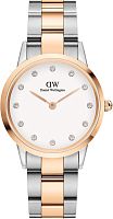 Daniel Wellington DW00100358 фото