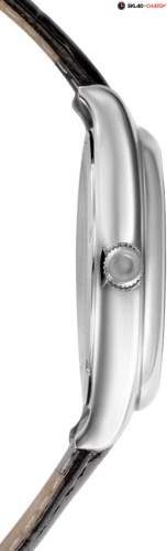 Слава 1490868/300-8215 фото фото 2