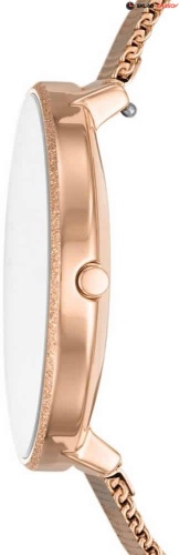 Женские Skagen Karolina SKW2726 фото фото 2