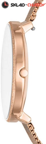 Женские Skagen Karolina SKW2726 фото фото 2