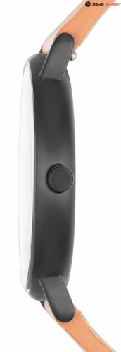 Мужские Skagen Leather SKW6352 фото фото 2