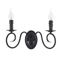 бра Arti Lampadari Amaro E 2.1.2 B фото