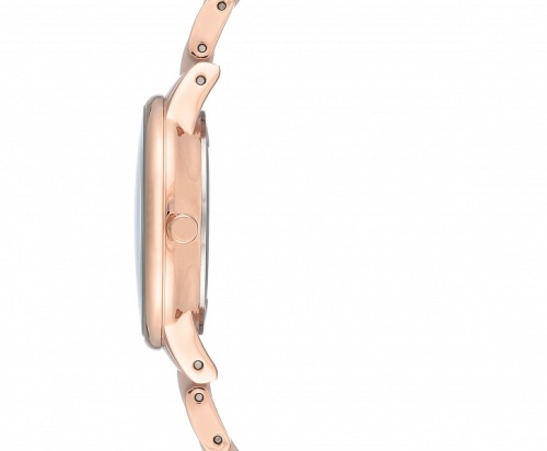 Anne Klein 3344TPRG фото фото 3