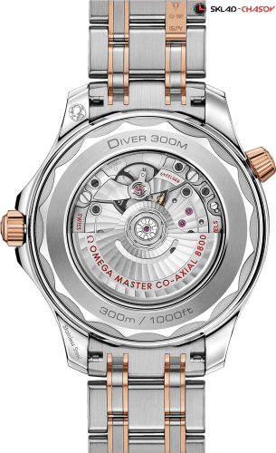 Omega 21020422003002 фото фото 2