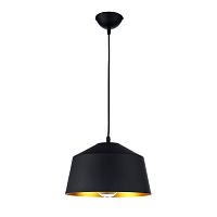 Подвесной светильник Arti Lampadari Rufo E 1.3.P1 B фото