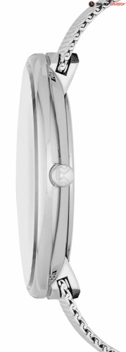 Женские Skagen Mesh SKW2561 фото фото 2