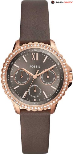 Fossil Izzy ES4889 фото