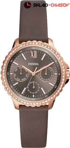 Fossil Izzy ES4889 фото