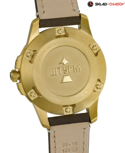 Штурм 1956005 фото фото 2