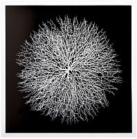 Панно композитное "Лёгкий шелест 2" фото