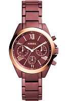 FOSSIL BQ3281 фото