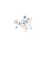 Lucia Tucci Fiori di rose 112.3.1 фото