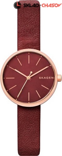 Женские Skagen Leather SKW2646 фото