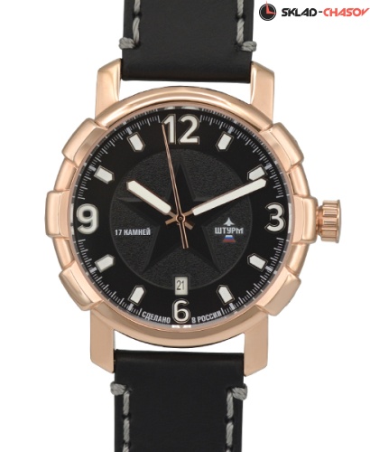 Штурм 4309131 фото