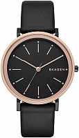 Женские Skagen LEATHER SKW2490 фото