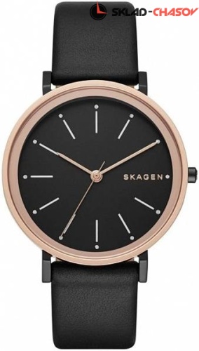 Женские Skagen LEATHER SKW2490 фото