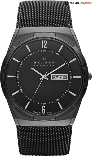 Мужские Skagen Titanium SKW6006 фото