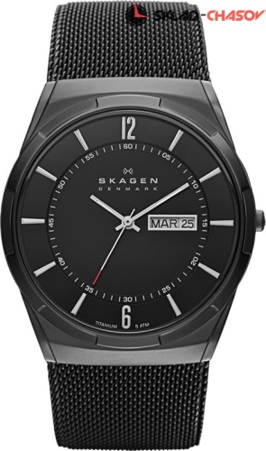Мужские Skagen Titanium SKW6006 фото