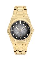 Наручные часы FERRO FM40133A-B2 фото