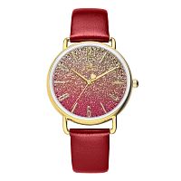 Наручные часы F. Gattien HH011B-117 кр. фото