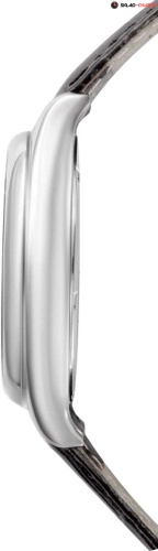 Слава 1490868/300-8215 фото фото 3