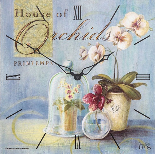 Tomas Stern 6023 фото