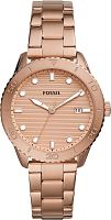 Fossil Dayle BQ3596 фото