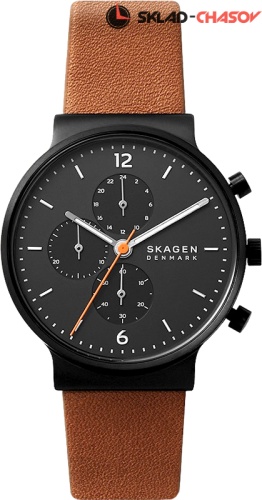 SkagenSKW6767 фото