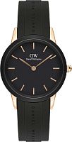 Daniel Wellington DW00100426 фото