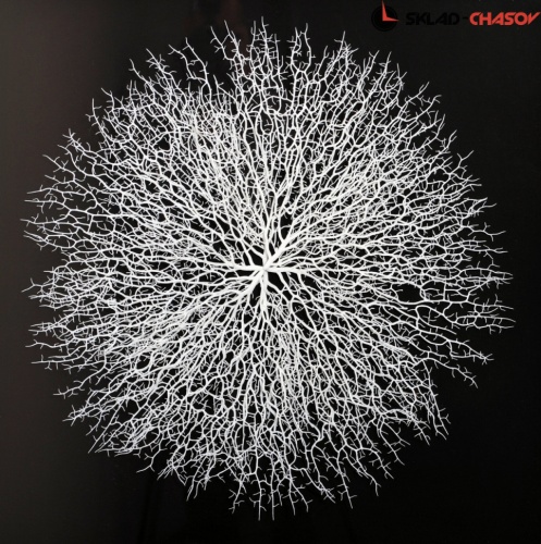 Панно композитное "Лёгкий шелест 2" фото фото 3