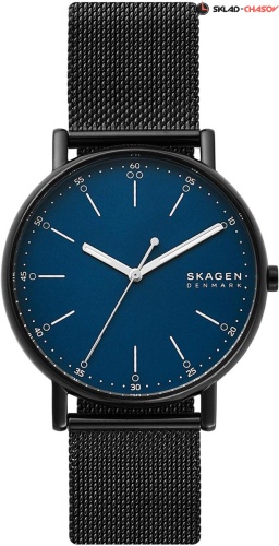 Skagen Signatur SKW6655 фото