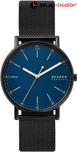 Skagen Signatur SKW6655 фото